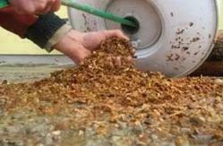 Профилактика бойлера Профилактика бойлера